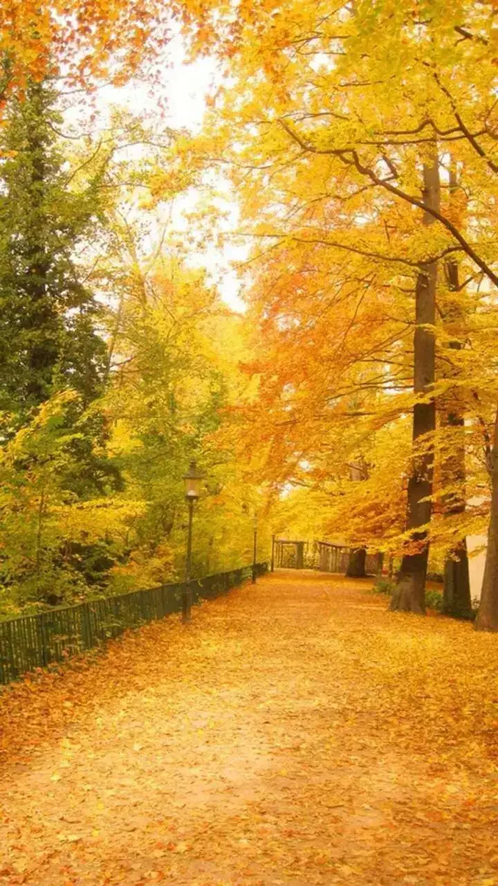 西安某水务投资公司