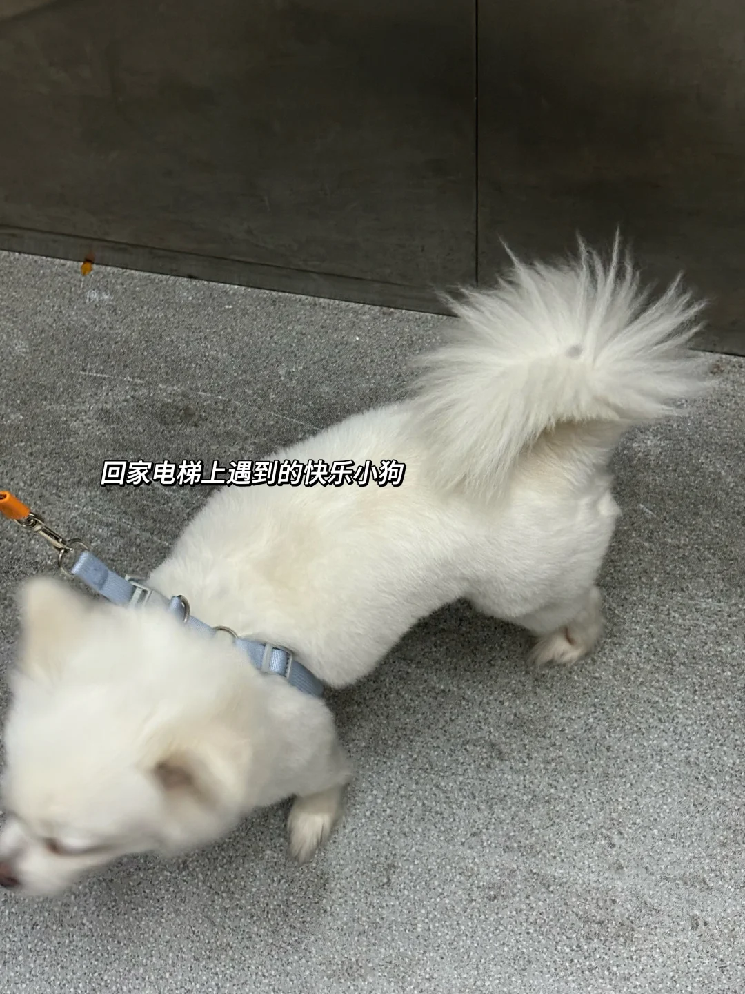 双休美妆公司/快👀有3️⃣6️⃣个岗位在招哇‼️