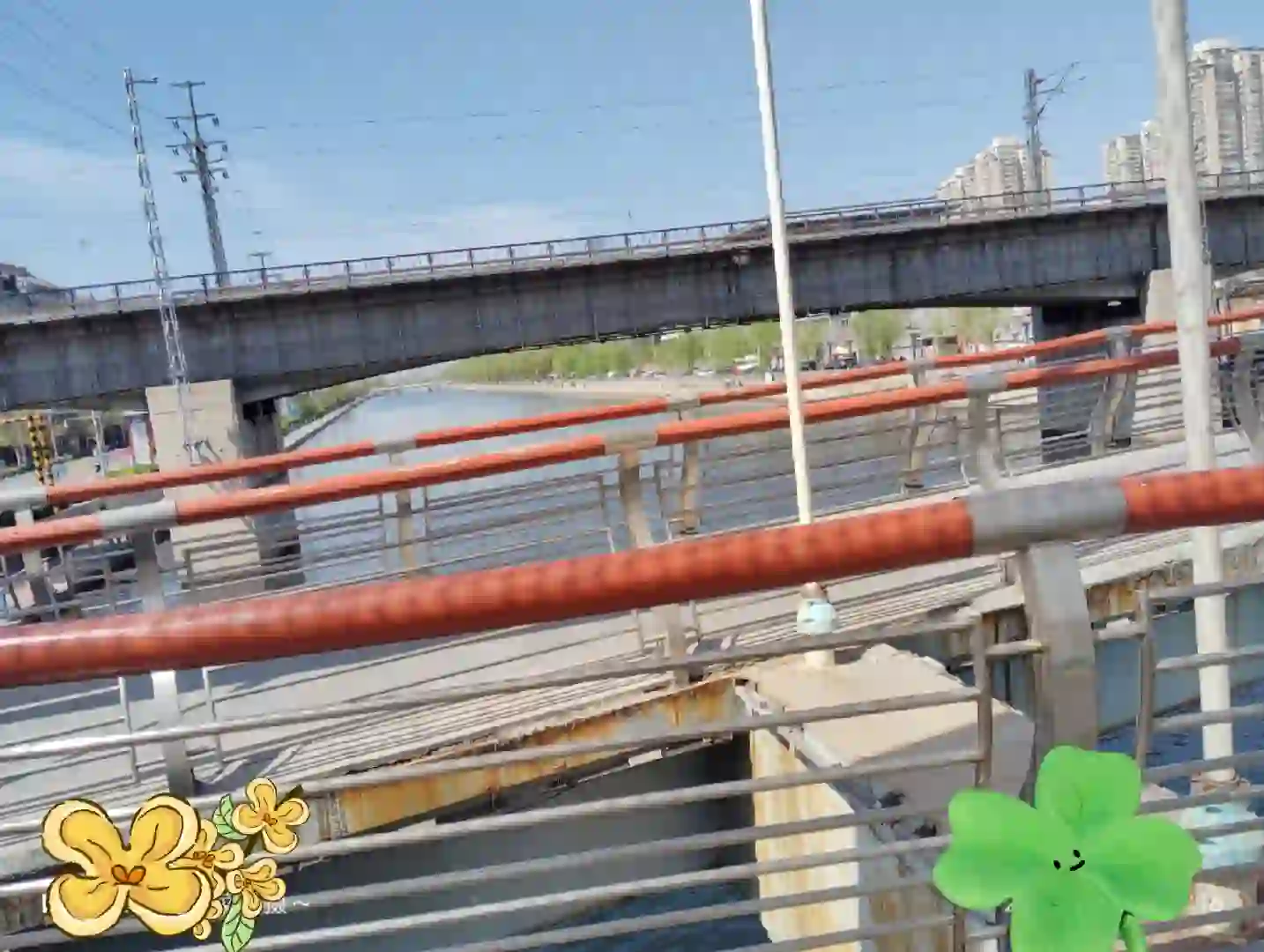 招人呀～💚💚💚助理岗位💛💛💛