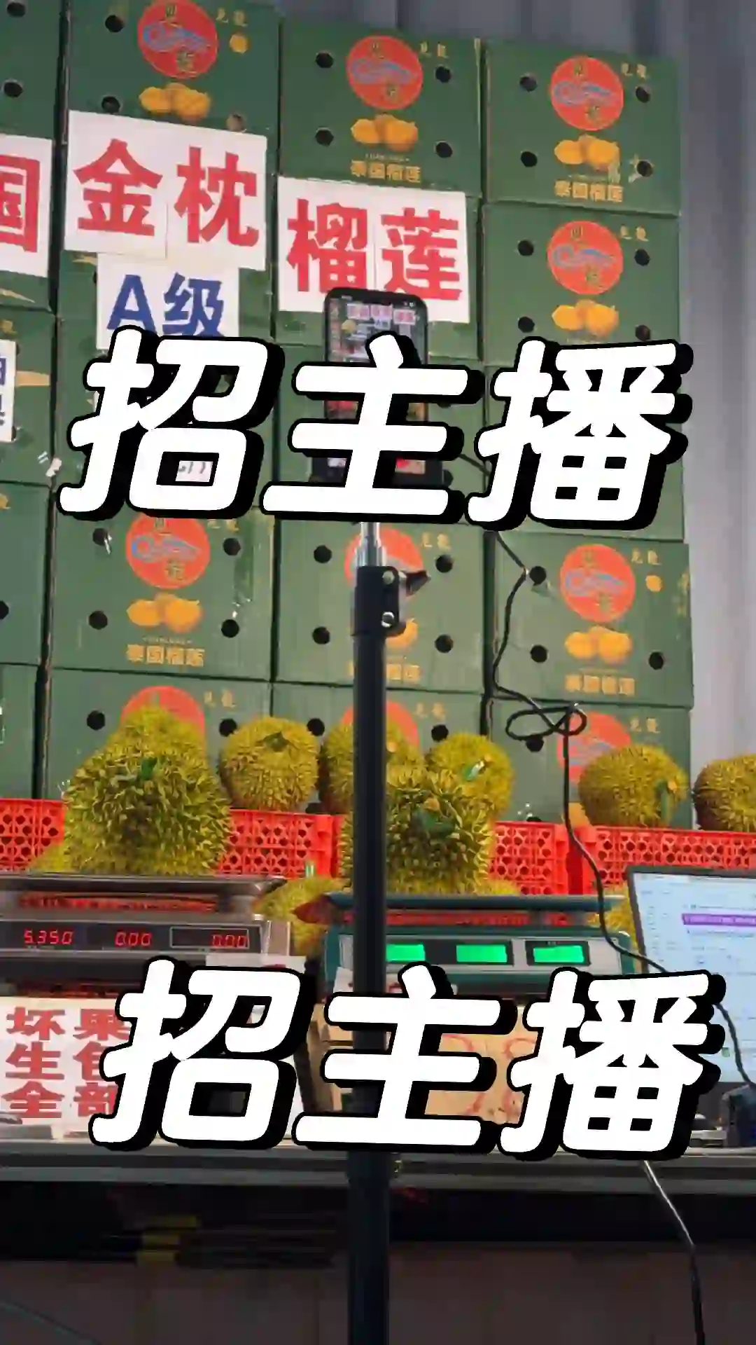 招聘卖榴莲主播，薪资可谈