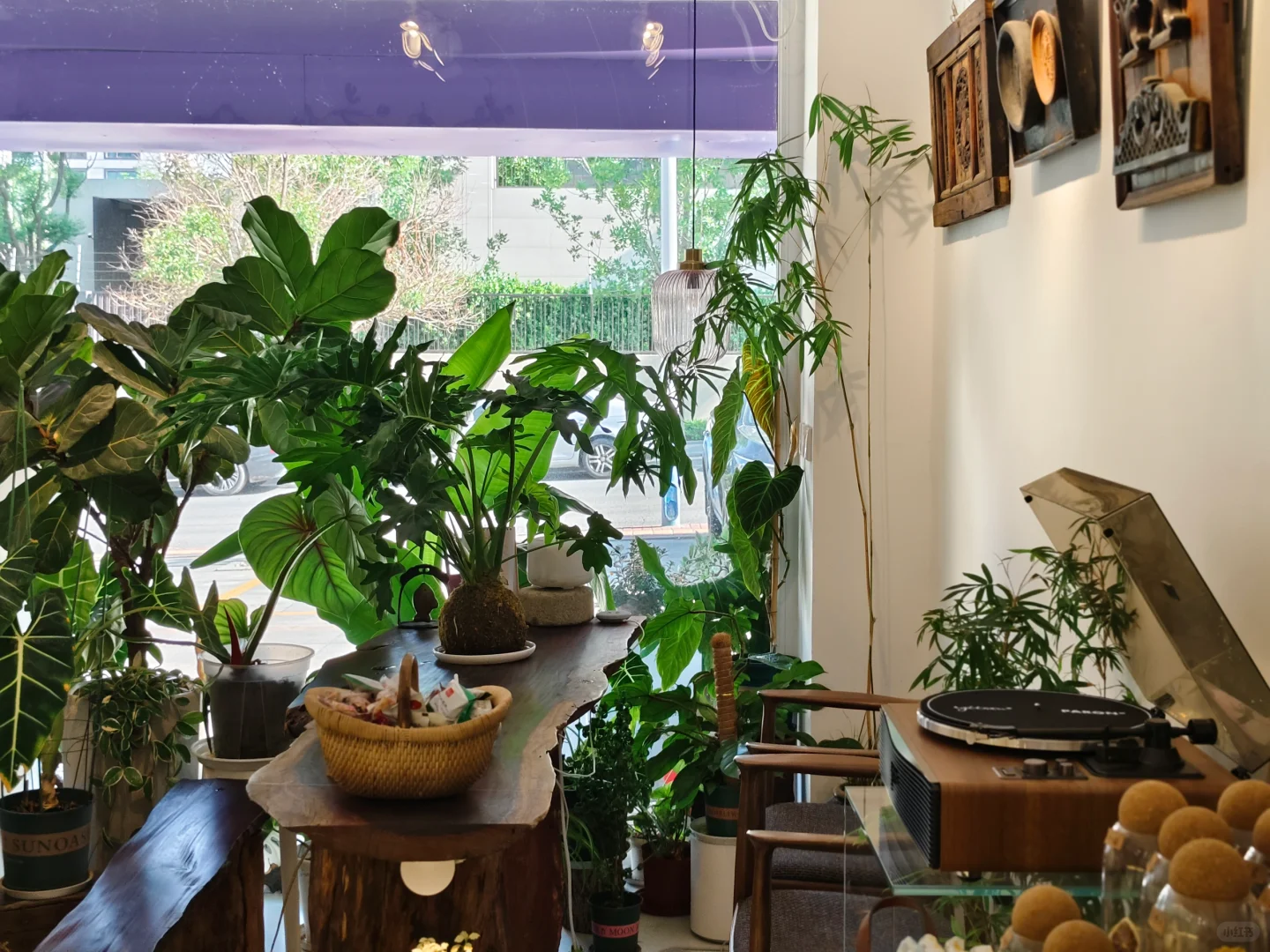 招聘瑜伽、普拉提老师，前台人员