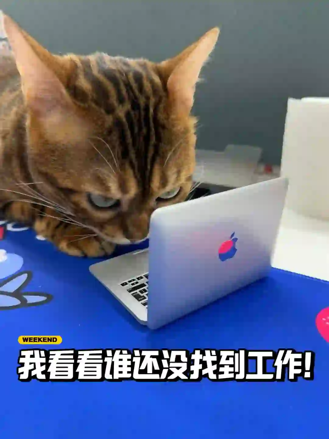 广州底薪5500+有感兴趣的吗➕提成