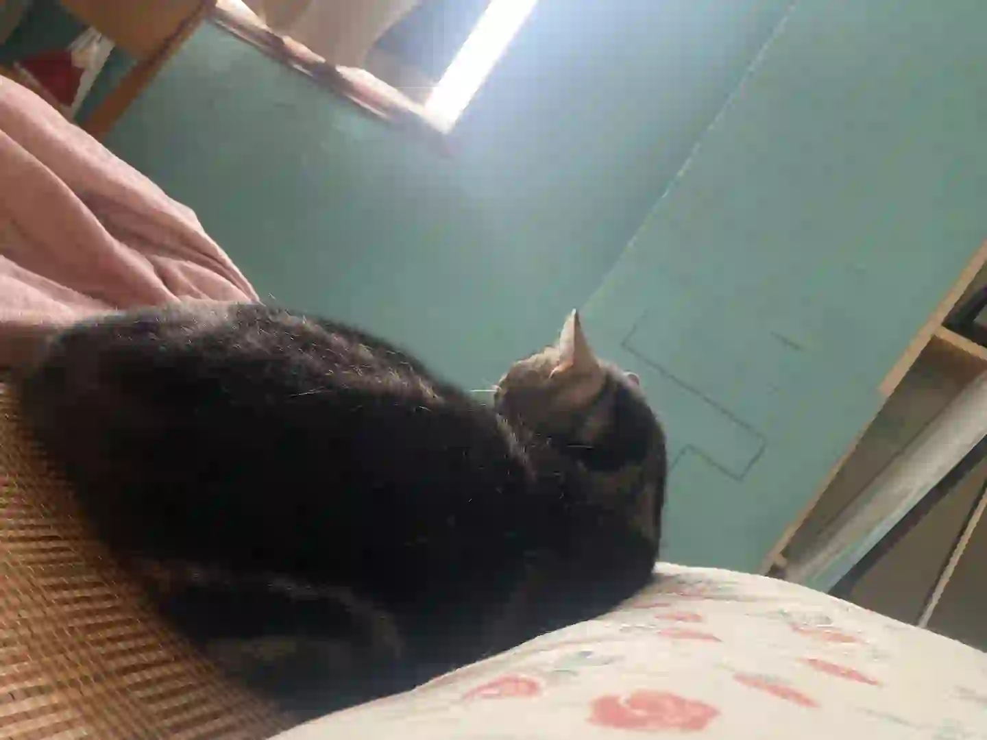 招聘网站必须冲会员吗？