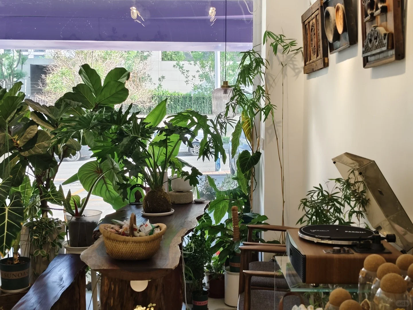 招聘瑜伽、普拉提老师，前台人员