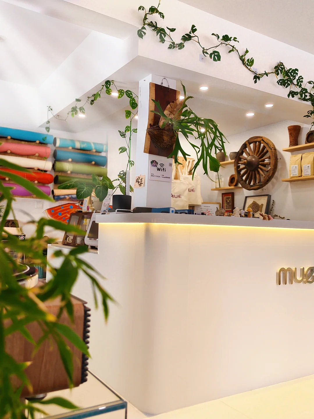 招聘瑜伽、普拉提老师，前台人员