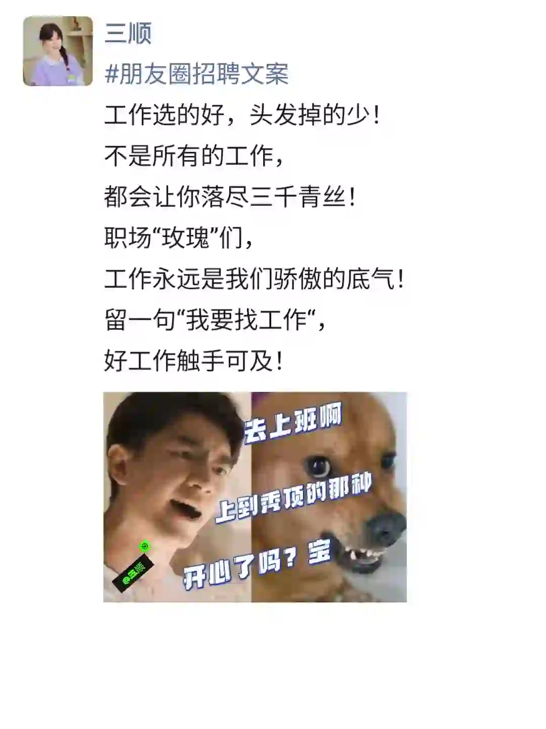 招聘图文|方协文！你为什么不让玫瑰工作！