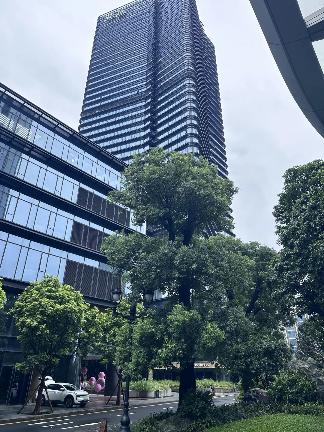 招聘新媒体媒介