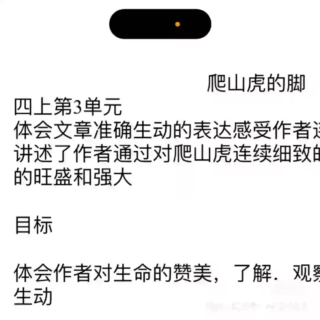 小语教师招聘面试逆袭！