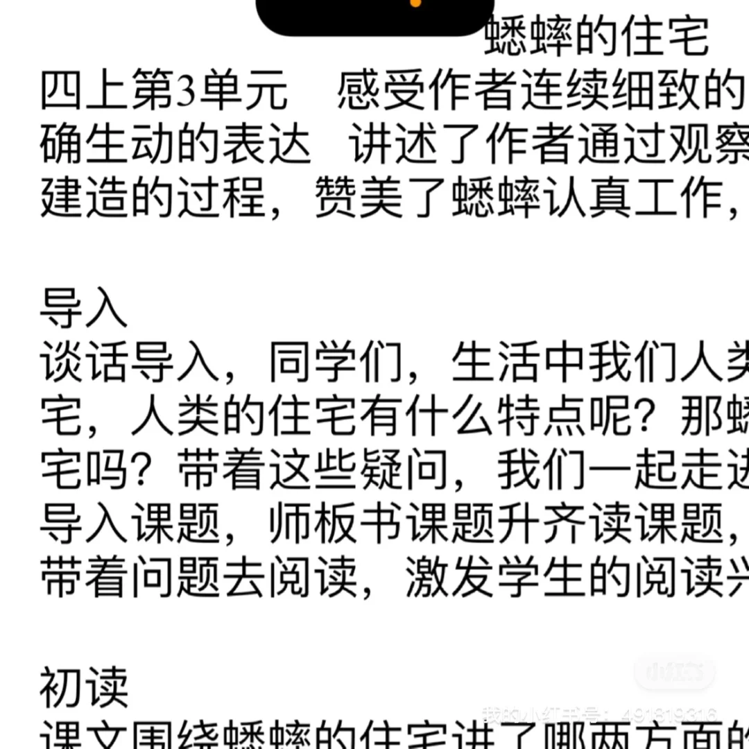 小语教师招聘面试逆袭！