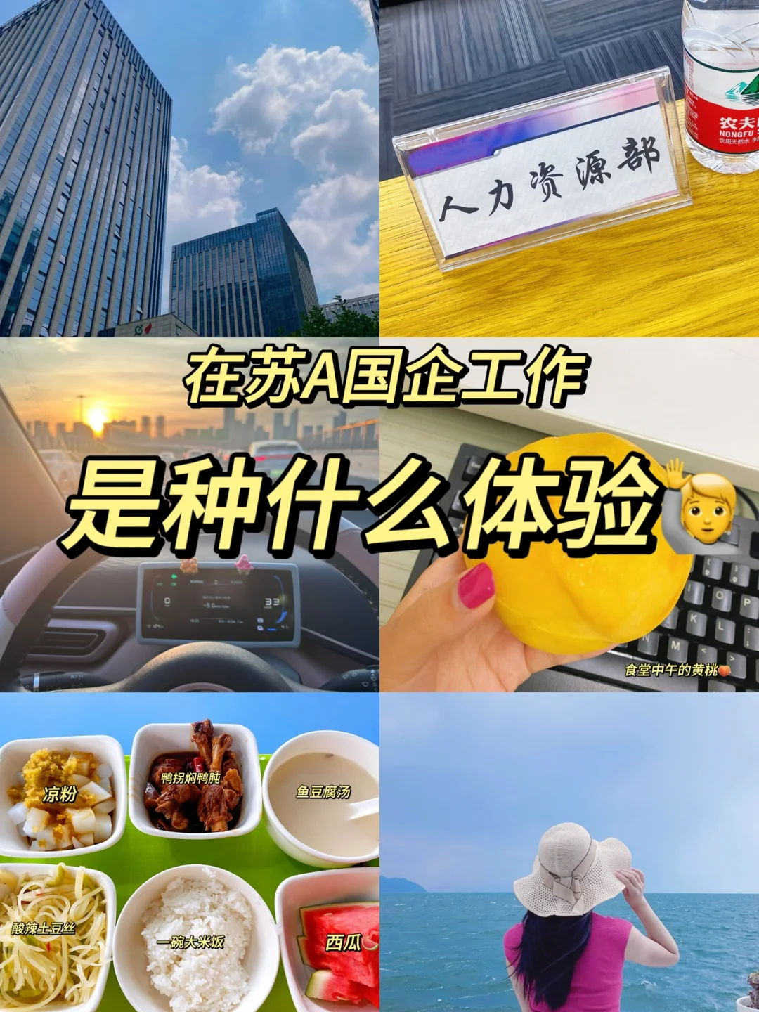 【市属国企】南京东南集团招3类岗位🔥