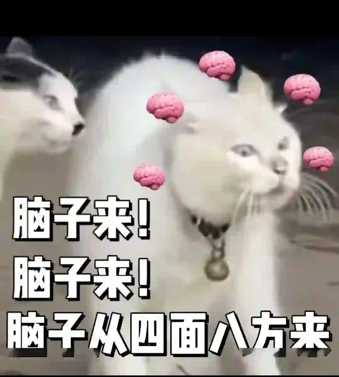 每天招聘的那些奇葩人物