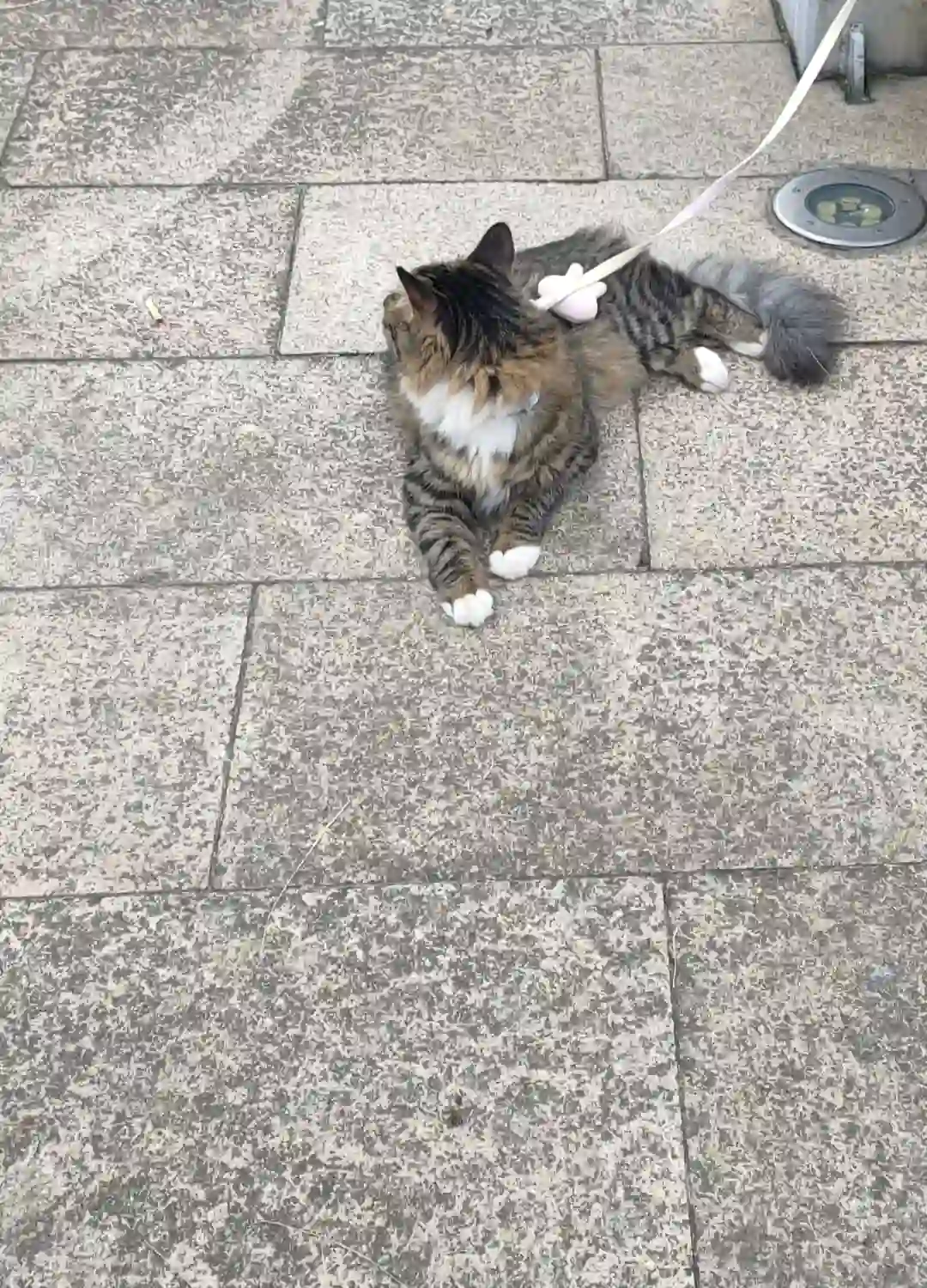 佰欧娱乐资源有限公司招人啦