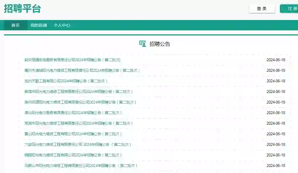 2024年安徽阳光电力有限责任公司招156人