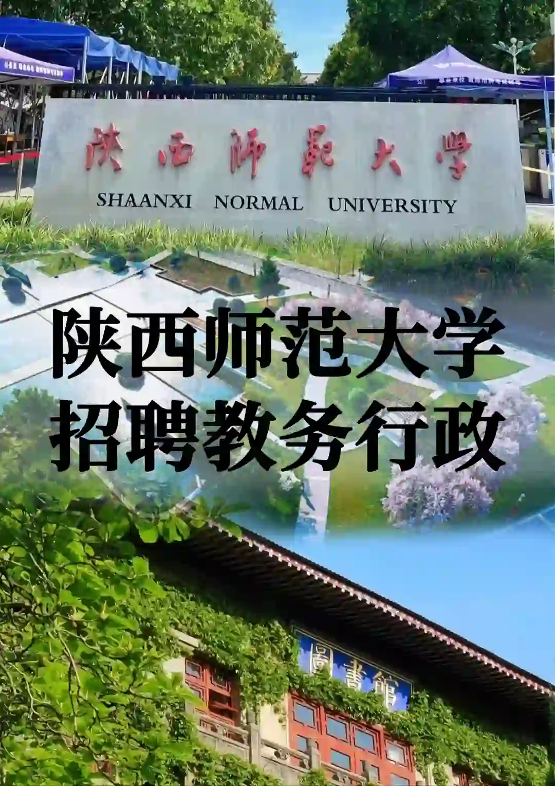 陕师大招聘教务行政！