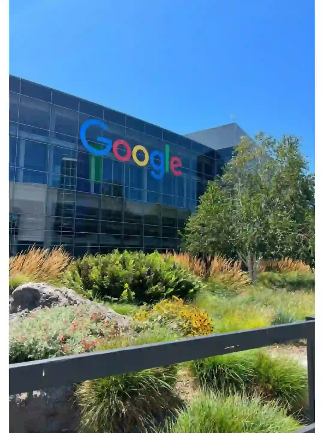 Google内推远程实习生🉑0经验不限专业