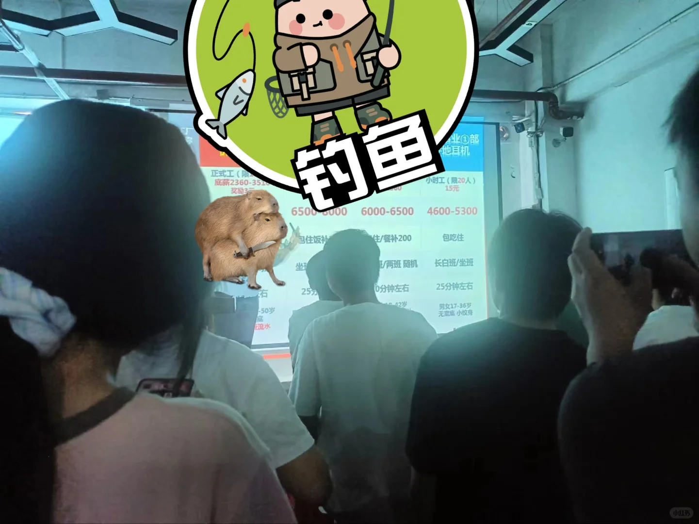 深圳龙岗招聘避雷 弟弟被骗已老实