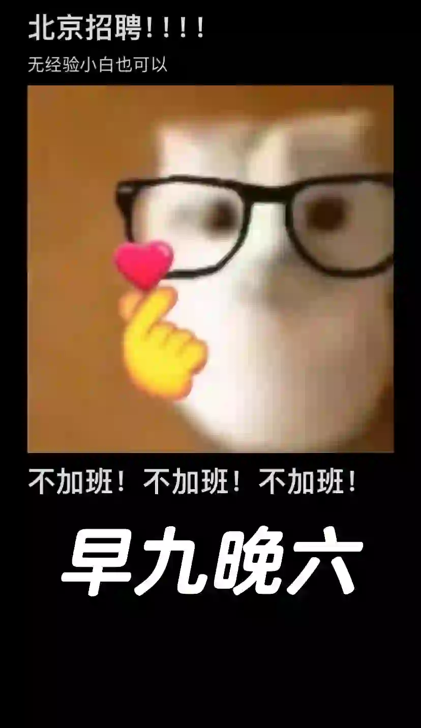 招聘招聘！！！