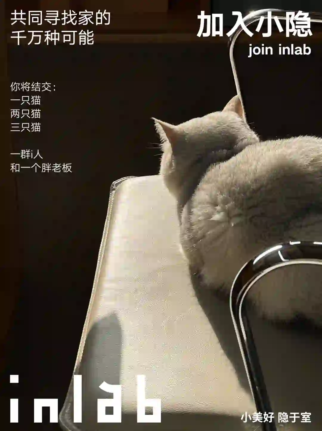 JOIN US | 小隐设计招聘啦📝