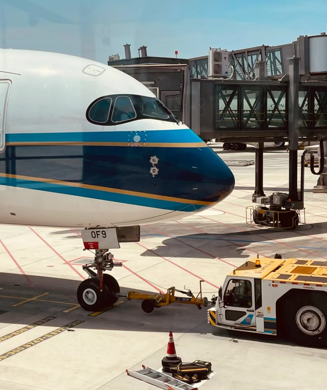 航空公司地面服务岗位✈️ 很好的offer