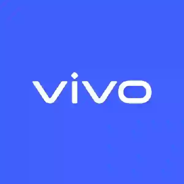 秋招回忆｜Vivo财经管理经理