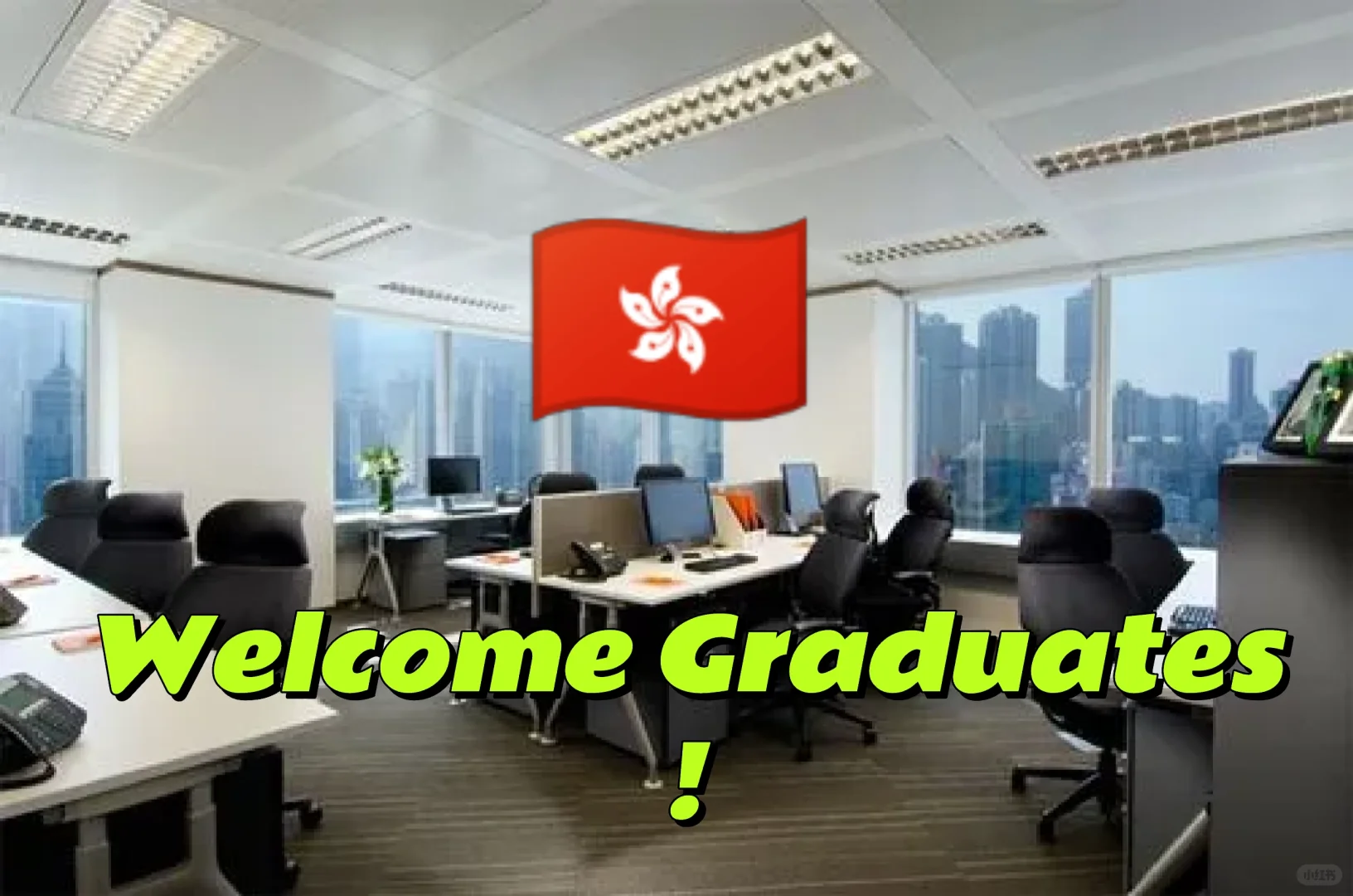 香港一家神仙公司捞人啦~有想来的嘛！