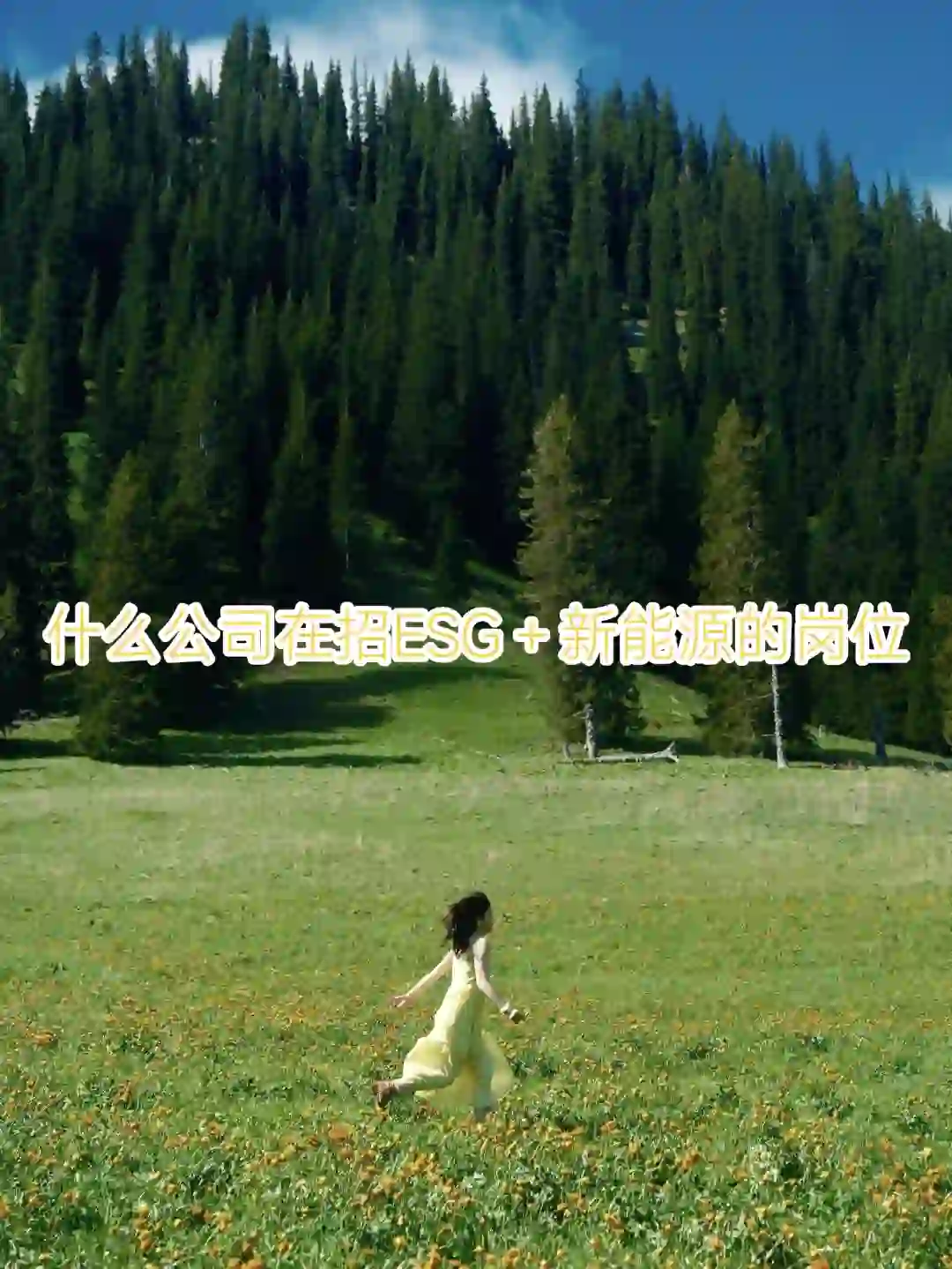 什么公司在招ESG＋新能源岗位