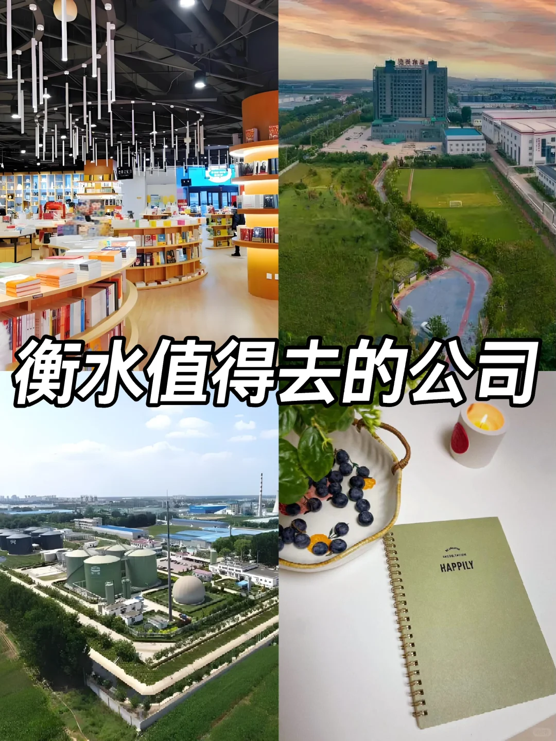 衡水神仙公司✨工作福利好 跳槽大胆冲✅