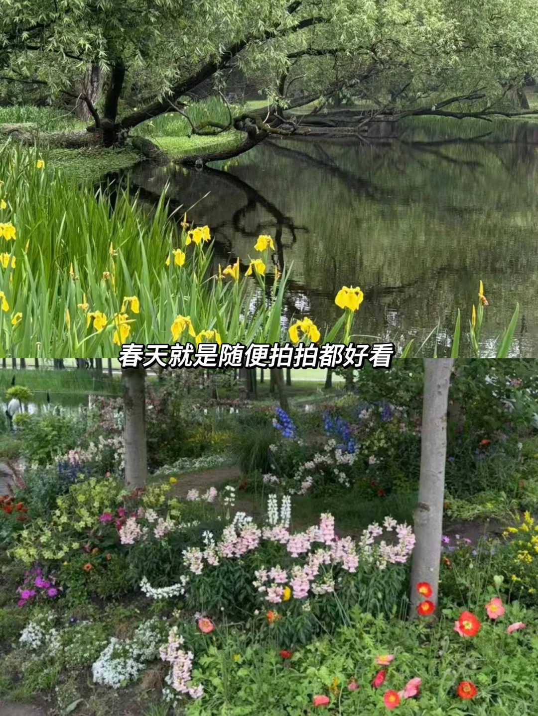 追星女孩找工作思路：去娱乐外企啊！