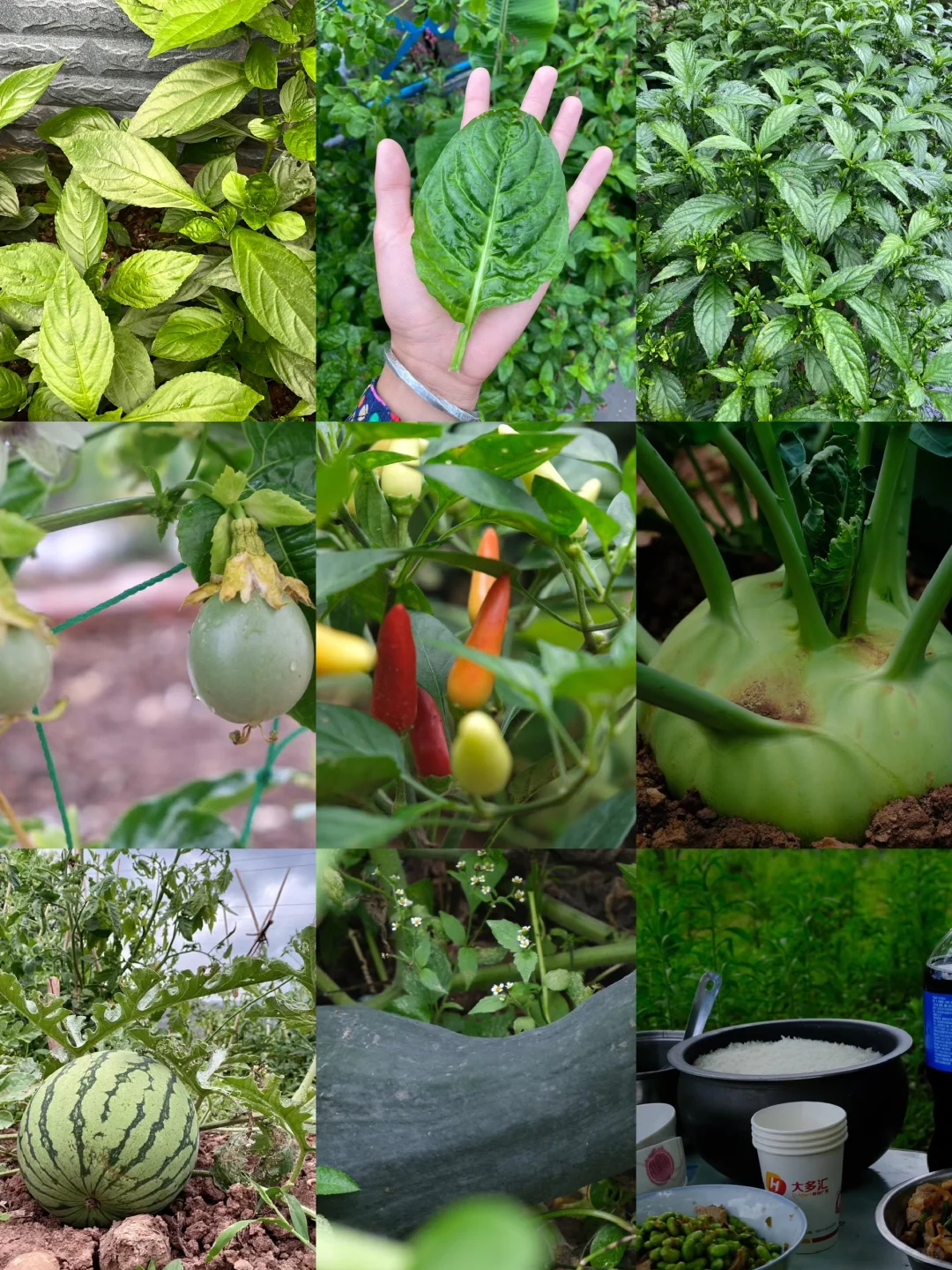 👋这是一则招聘笔记