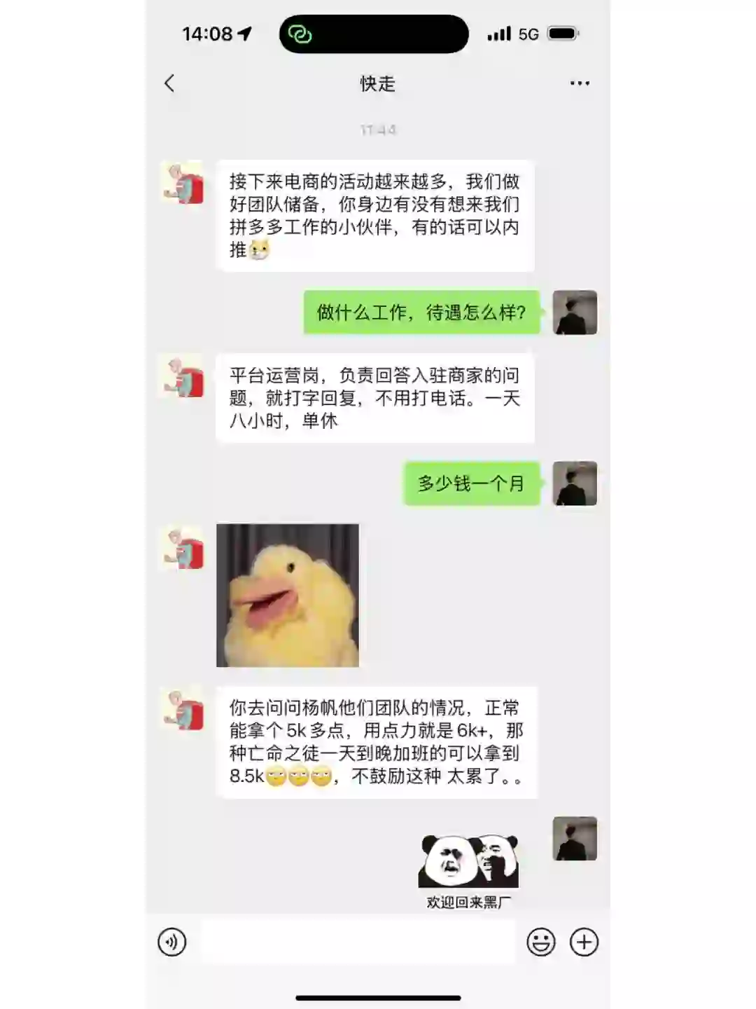 总监让我招人，你们自己看吧，马鞍山的宝子