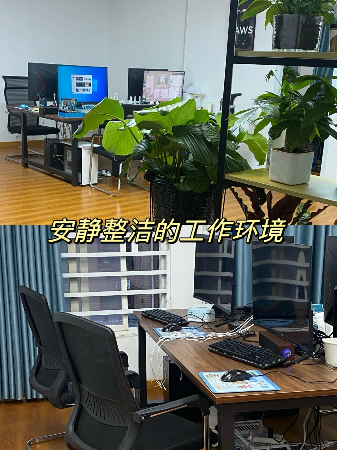 焦作想找工作的看看我！