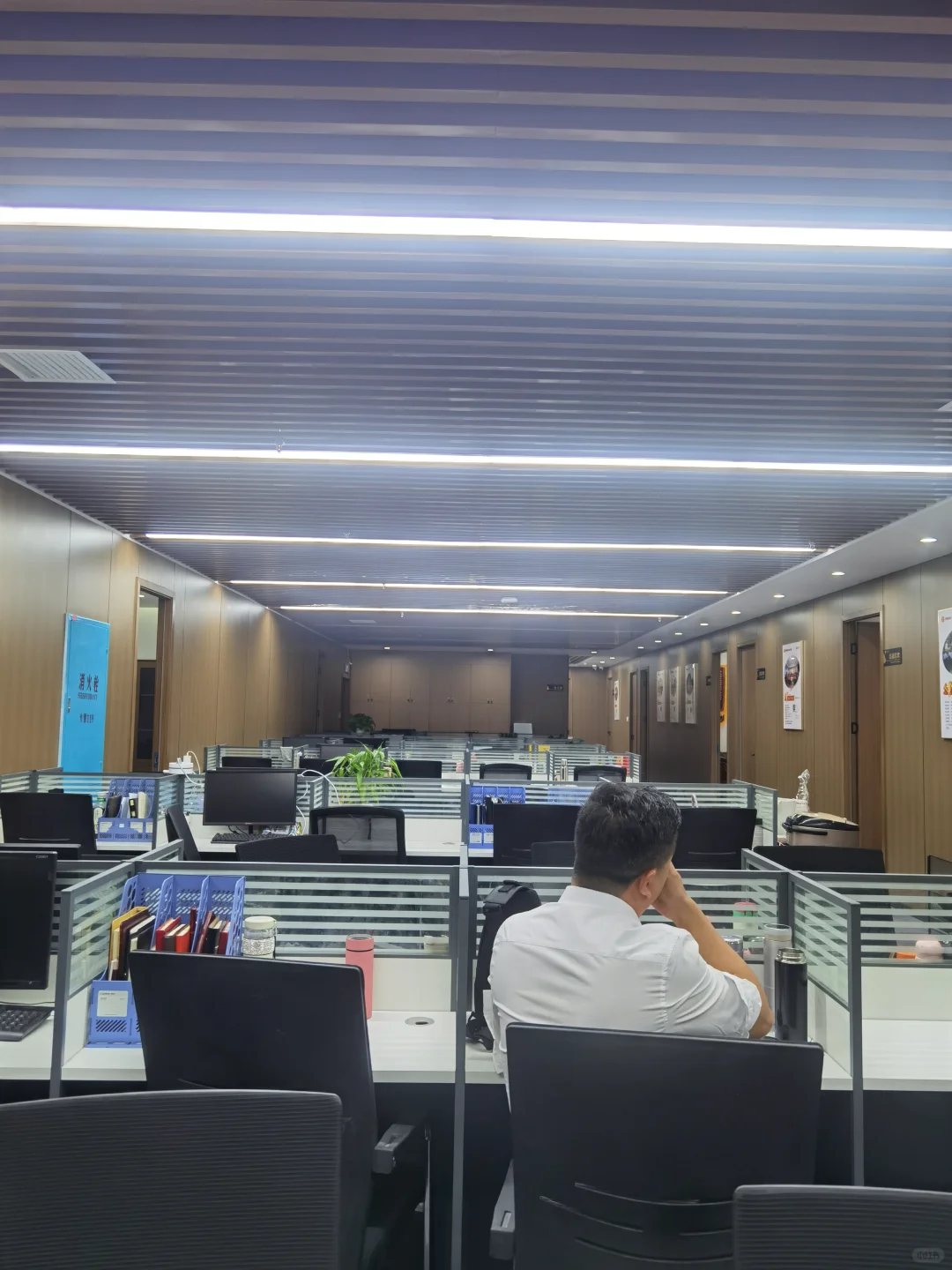 招聘招聘招聘重要的事情说三遍！!