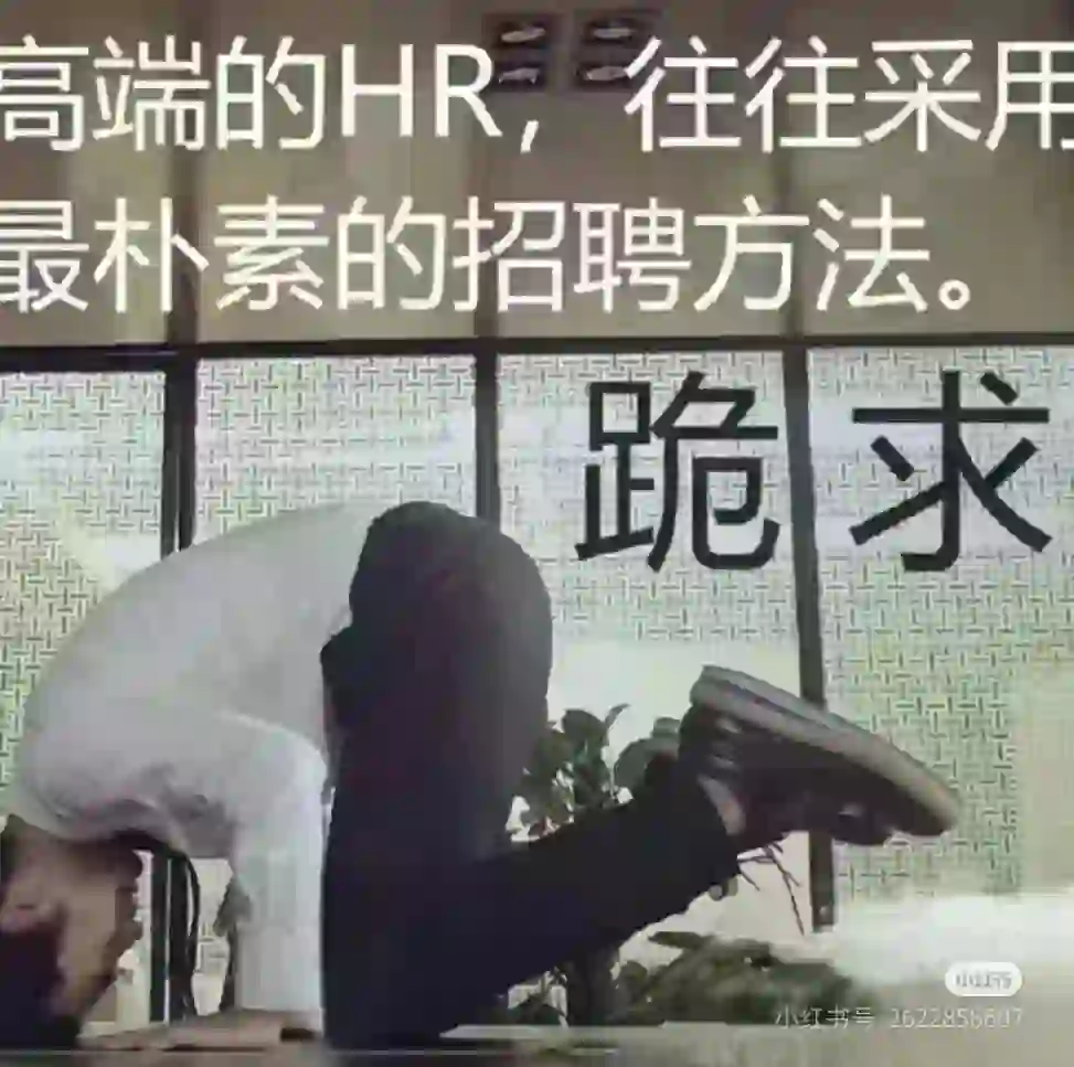 国内知名手机公司诚心实聘