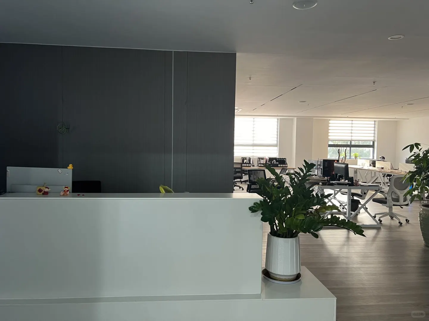 大集团招财务总监很难招吗？？！