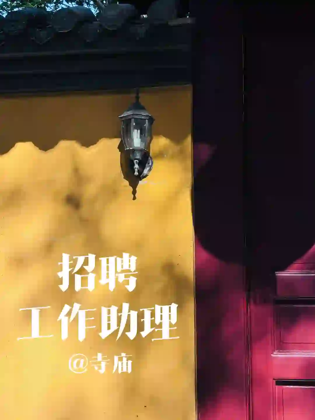 招聘｜工作助理