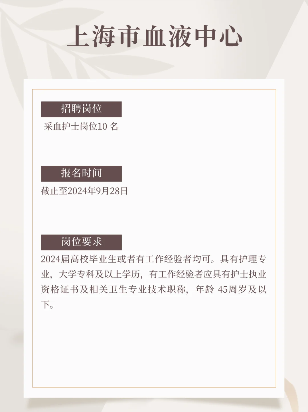 ✅上海招聘（2024.9.16）