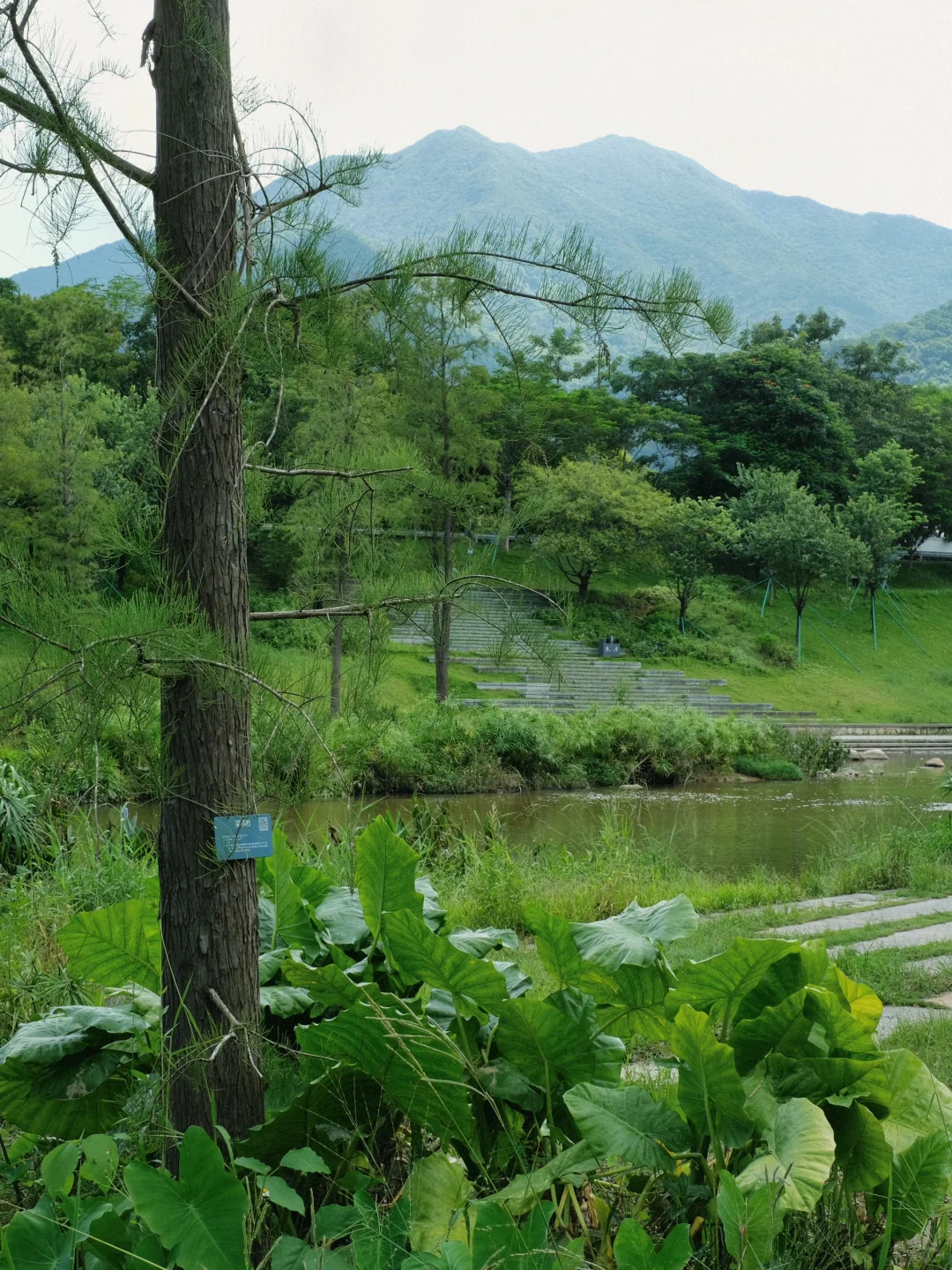 Hi，这是一则招聘启事