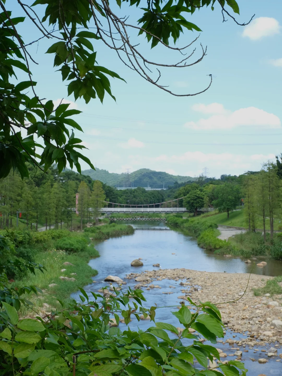 Hi，这是一则招聘启事