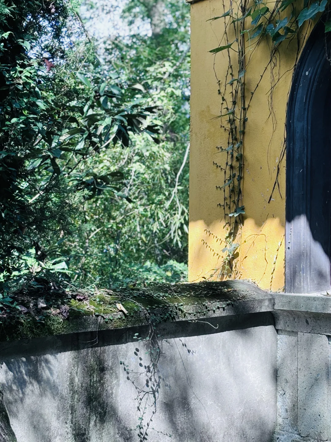 招聘｜工作助理