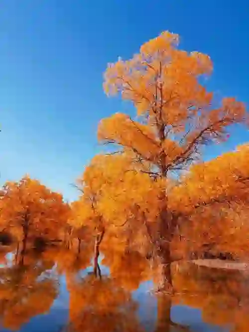 适合1-3年投行（股权/债券转型的人）