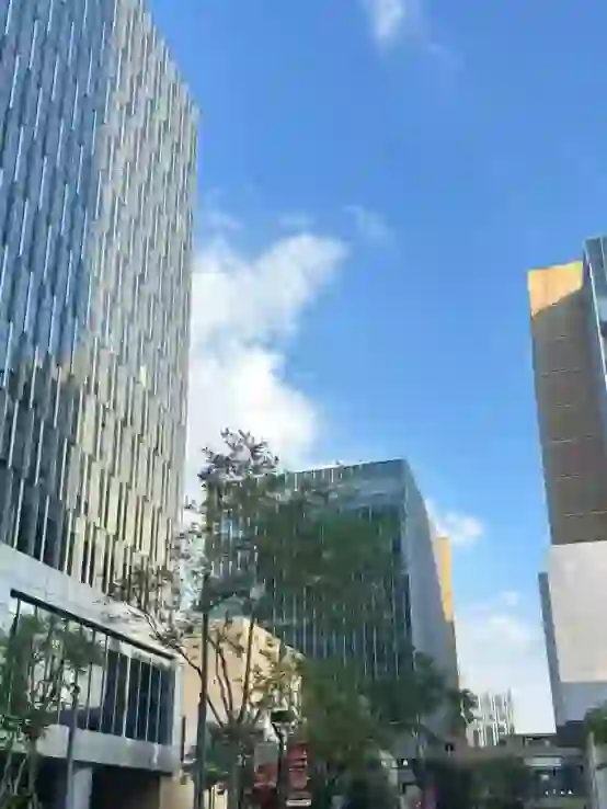 国庆节是留子最容易进外企的时候