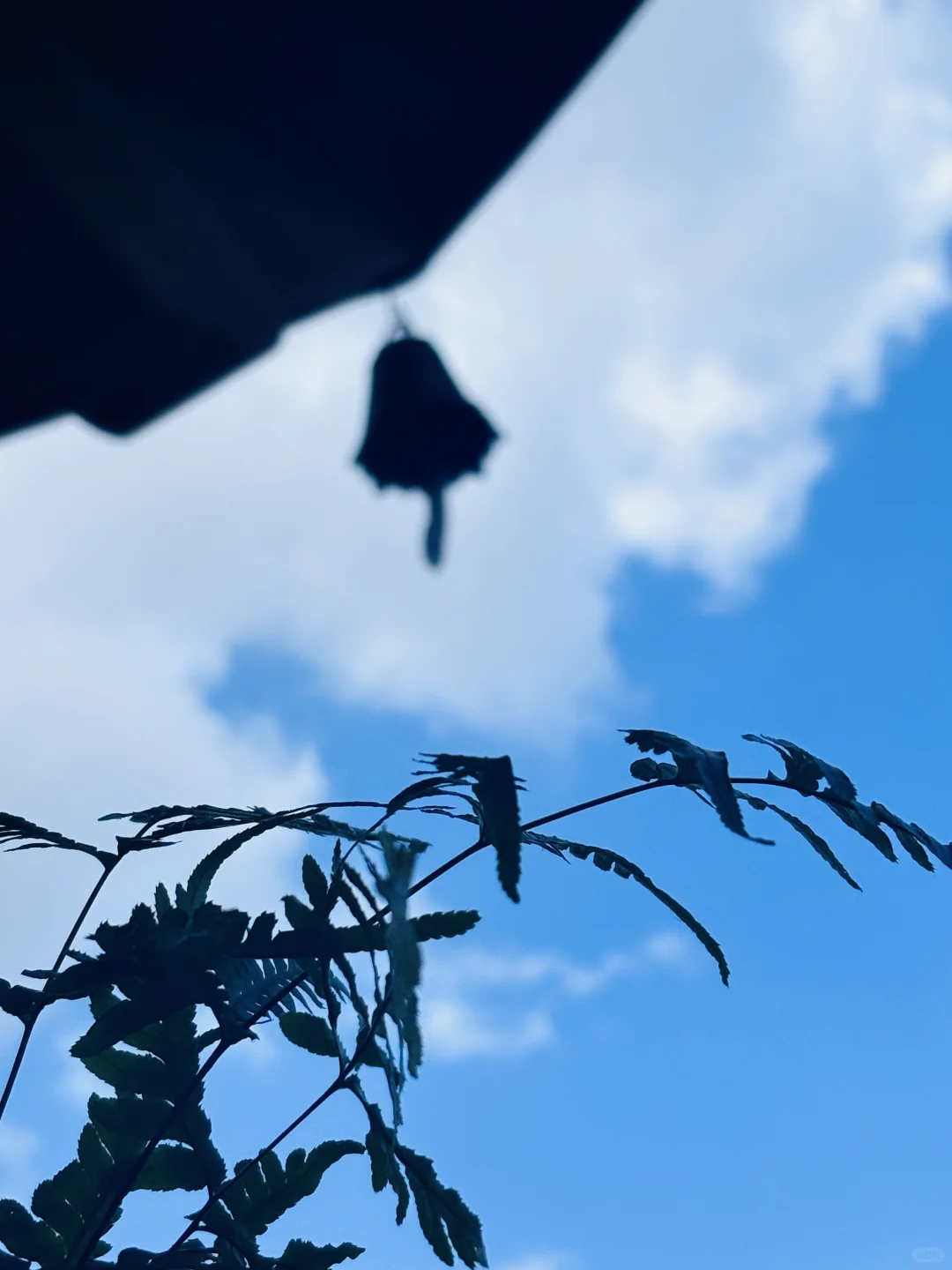 招聘｜工作助理