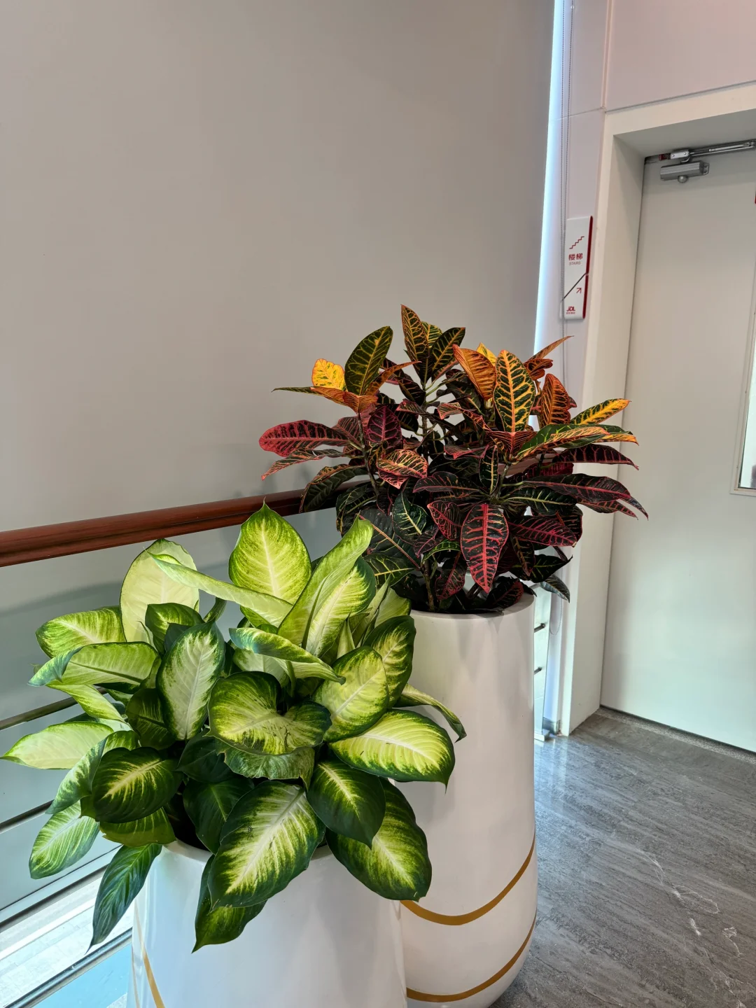 假期就要结束了 小伙伴们可以找工作啦