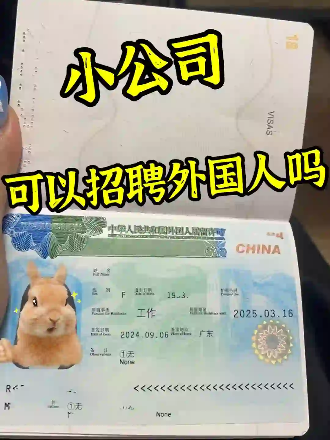 这也可以！小公司也可以招聘外国人