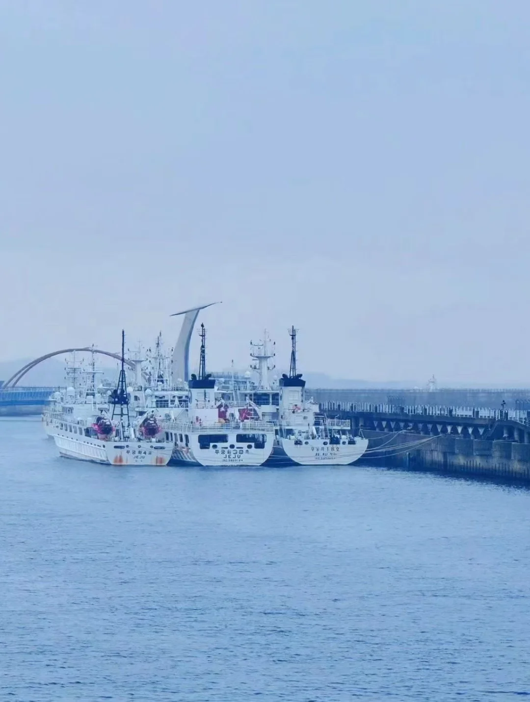 神仙工作来啦🤩