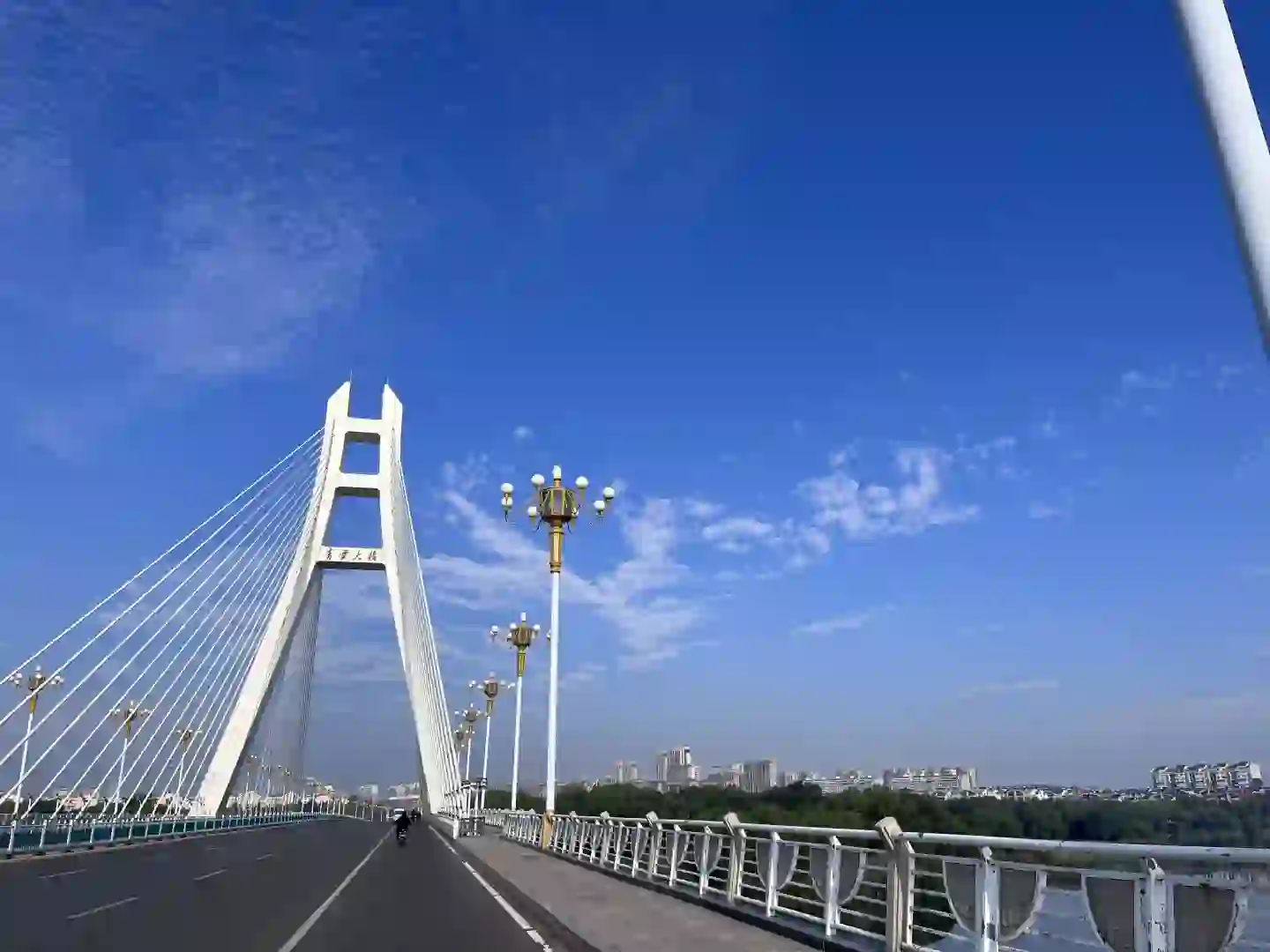 招聘招聘招聘 重要的事情说三遍!!!