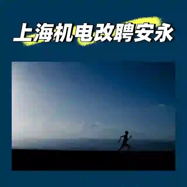 上海机电改聘安永