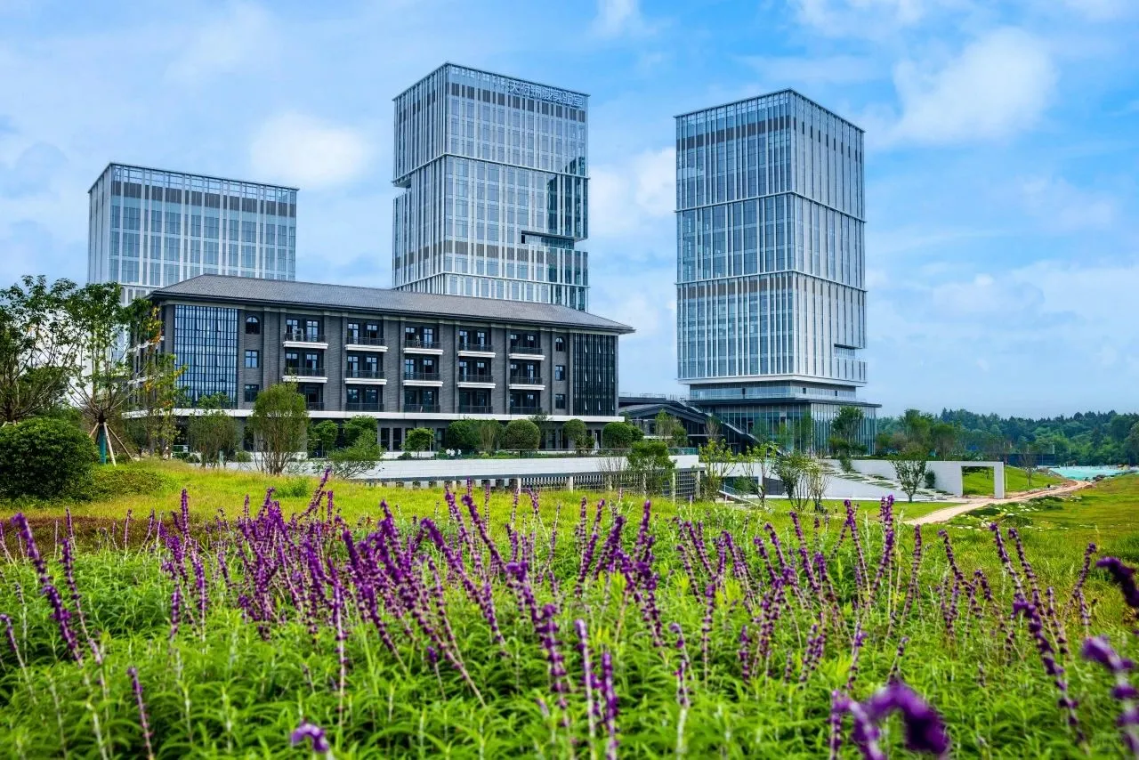 国企招聘（成都未来城管理局）