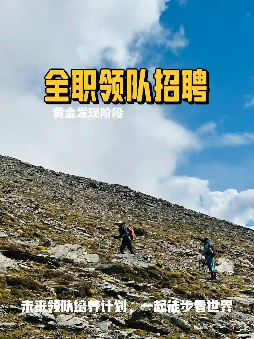 2024年秋季领队招聘计划公布📣📣