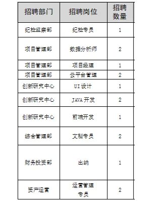 内蒙古大数据产业发展有限公司招聘工作人员